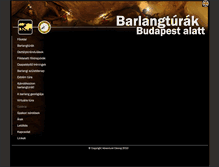 Tablet Screenshot of galeria.barlangaszat.hu